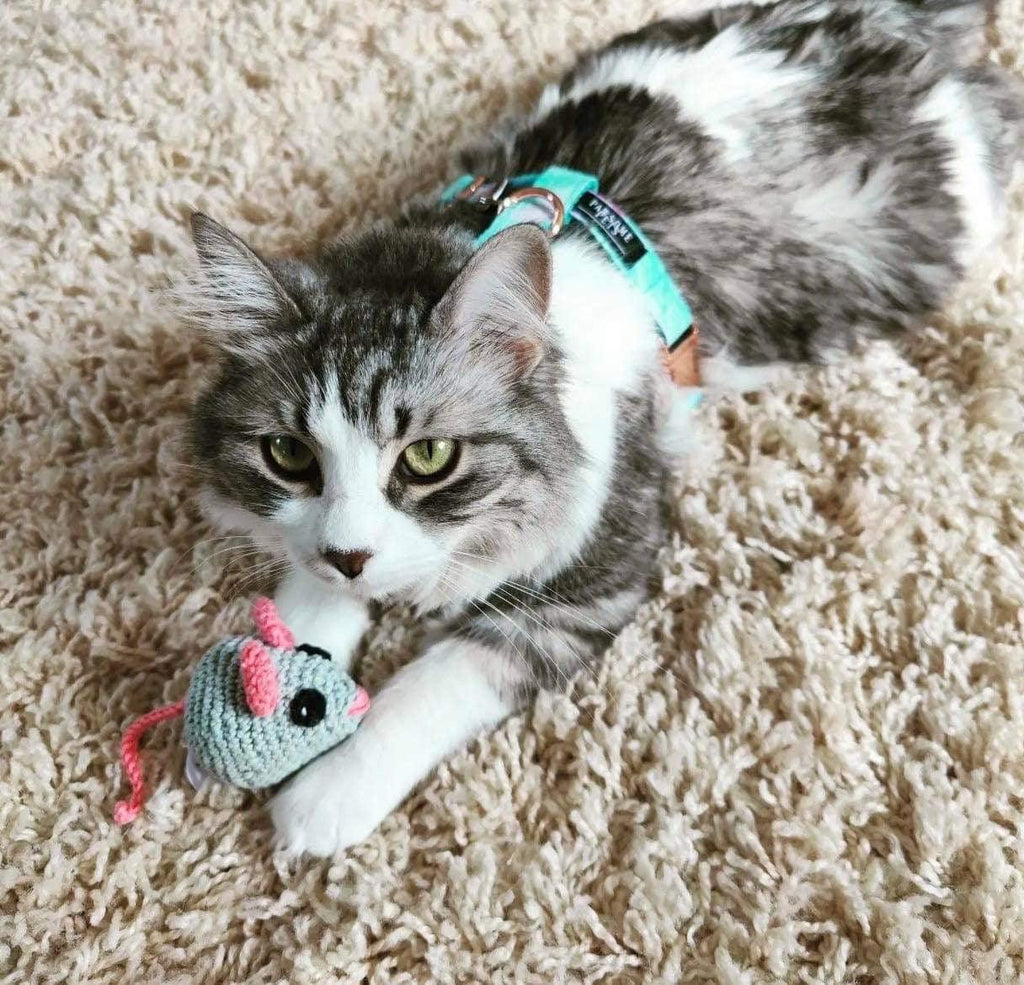 مجموعة ستيب إن - سكاي (قطعتان)