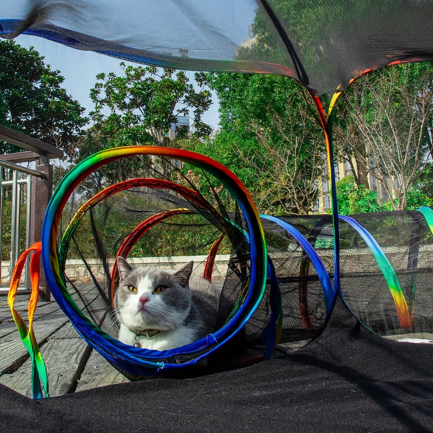 Colorful Outdoor Cat Playground Enclosure - Durable Polyester Portable Tent & Circle Playpen with Rainbow Fence, Ideal for Indoor/Outdoor Cats & Small Pets, Includes Storage Bag, Outdoor Cat Enclosure